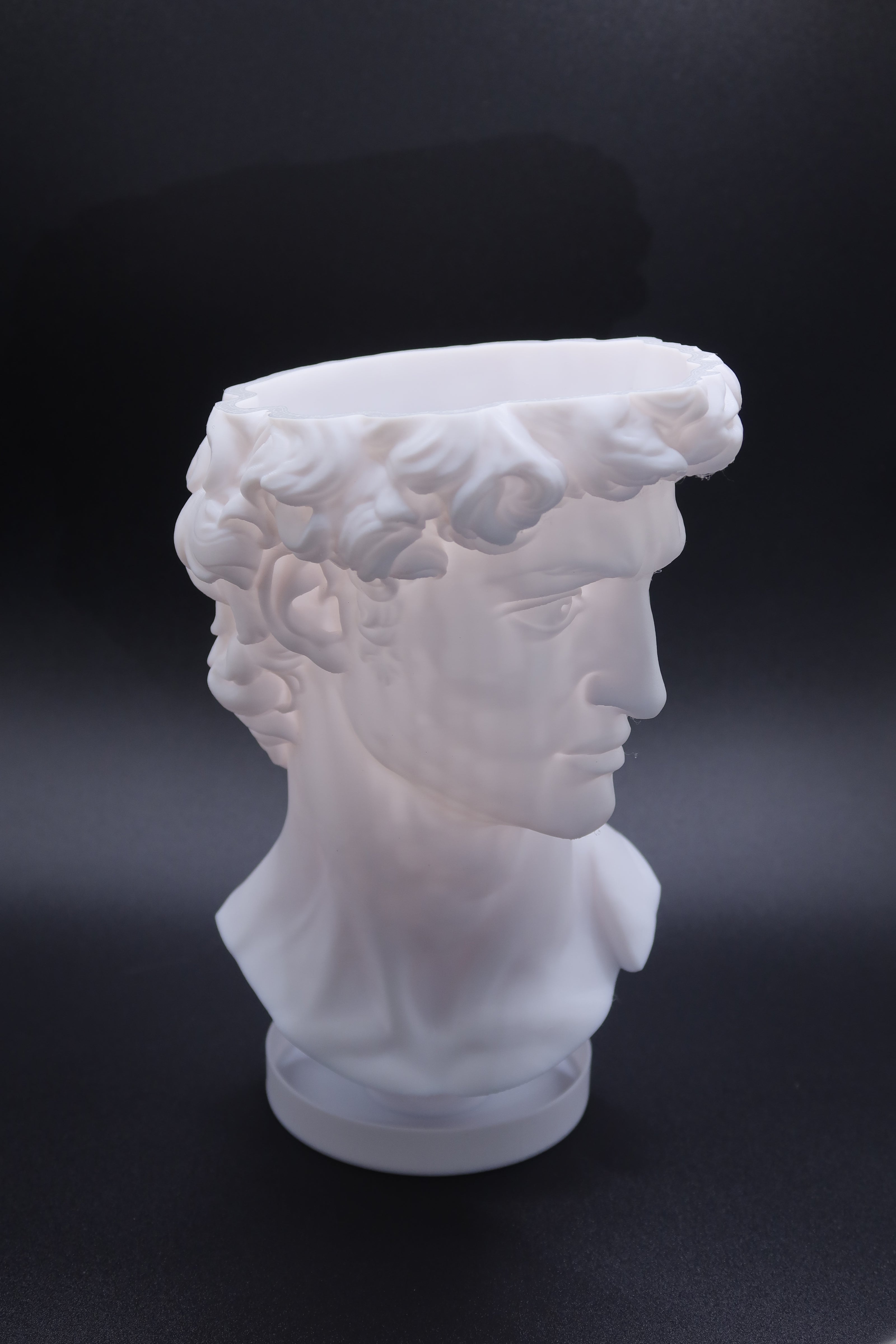 David Sculptural Planter