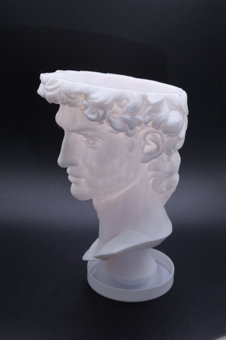 David Sculptural Planter