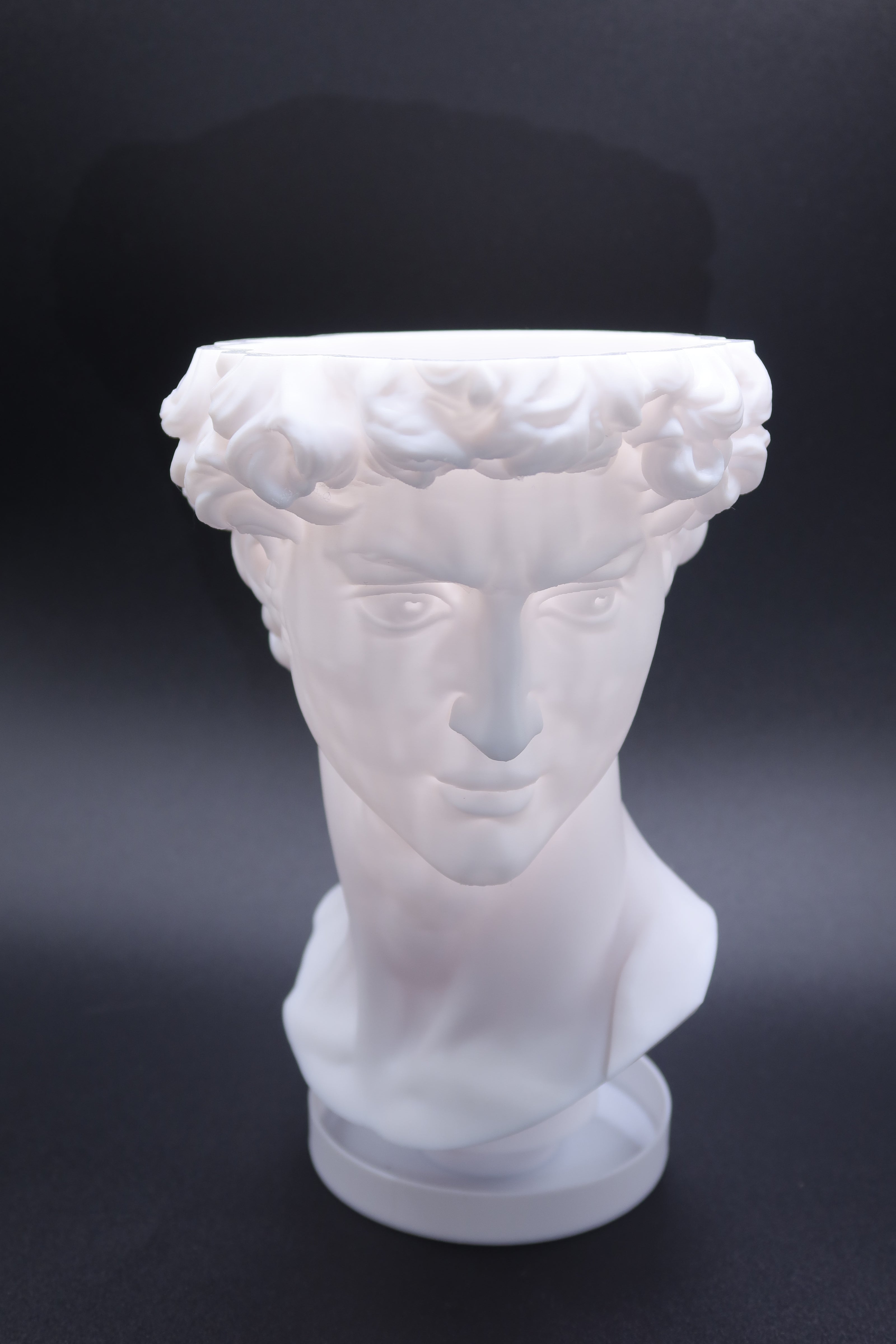 David Sculptural Planter