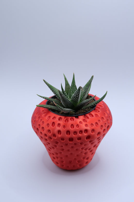 Strawberry Plant Pot