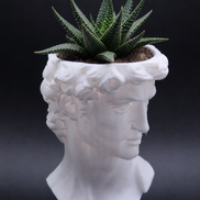 David Sculptural Planter