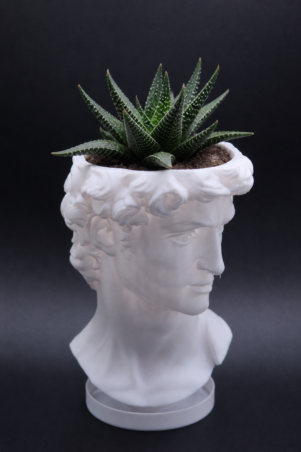 David Sculptural Planter